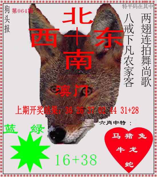 064期狗头报[图]