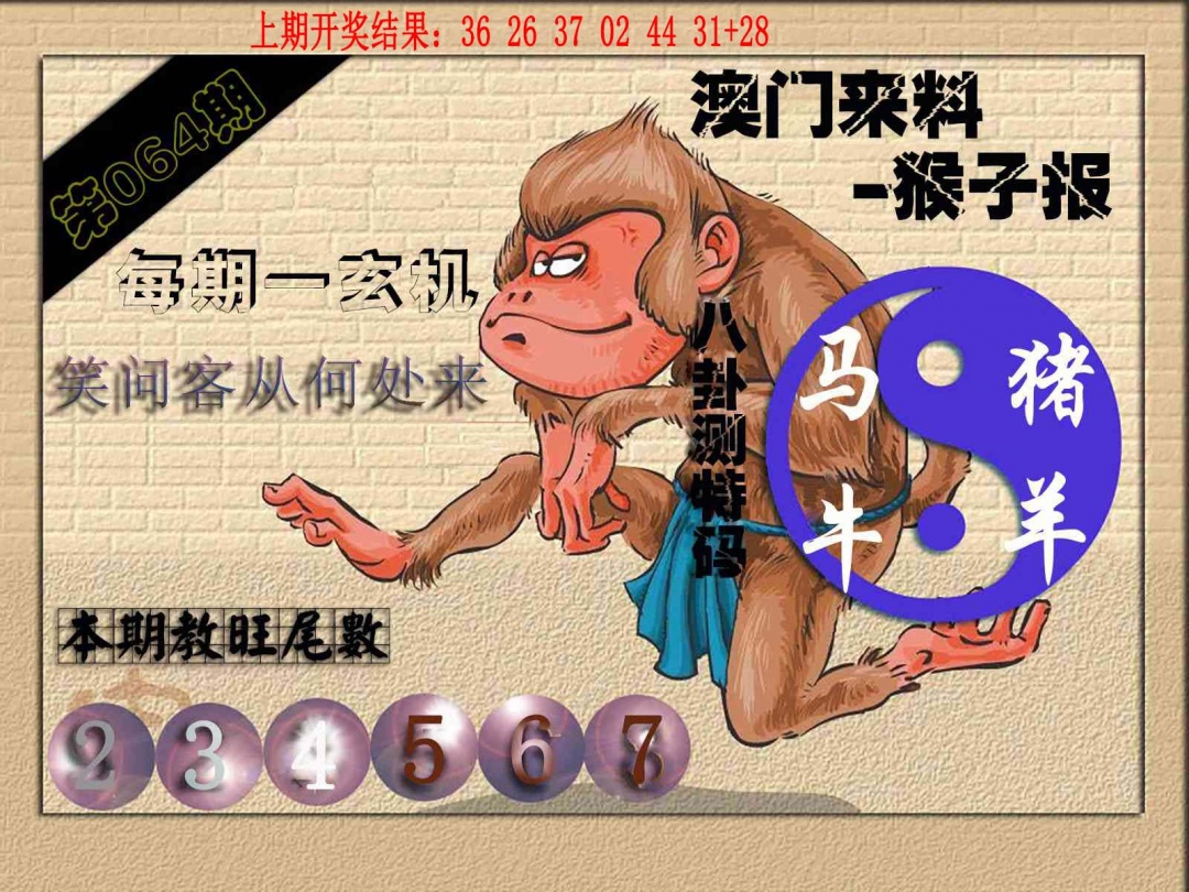 064期(来料)猴报[图]