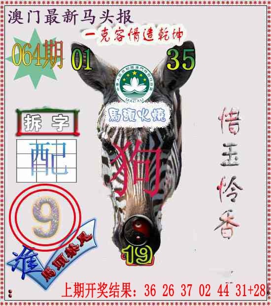 064期马头报[图]