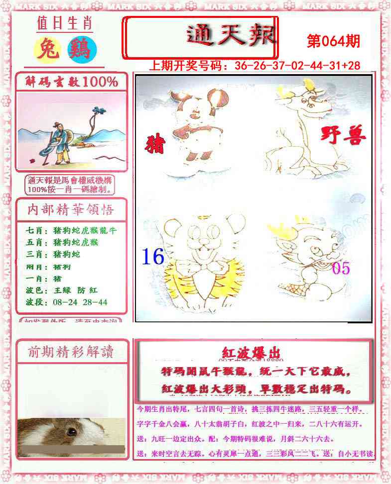 064期小喜通天报[图]