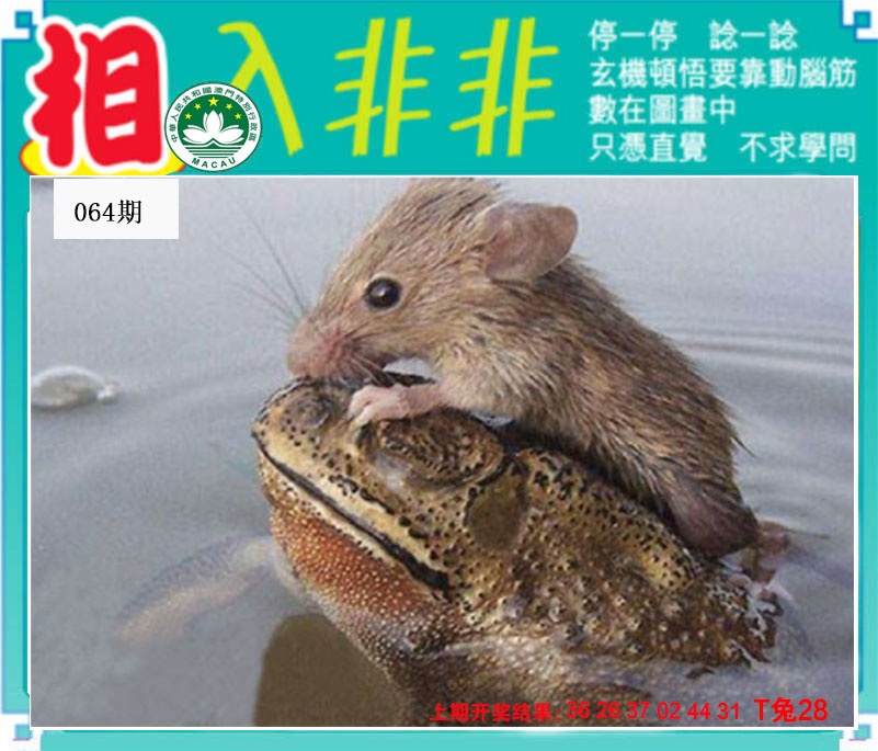 064期相入非非[图]