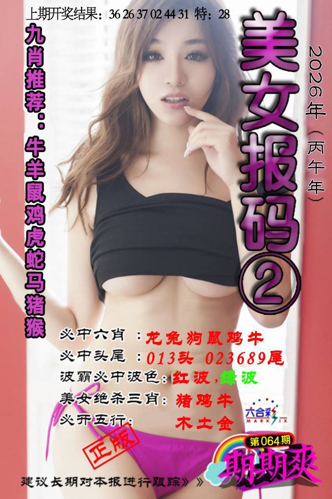 064期美女码报2[图]