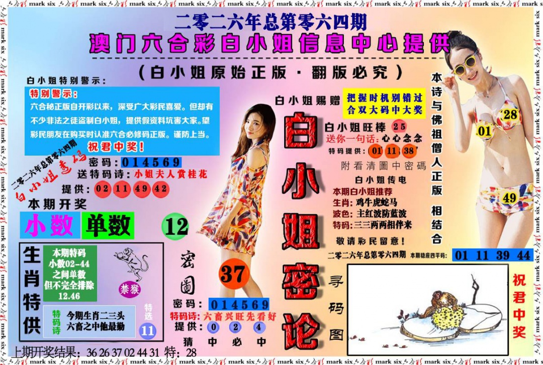 064期白小姐密论[图]