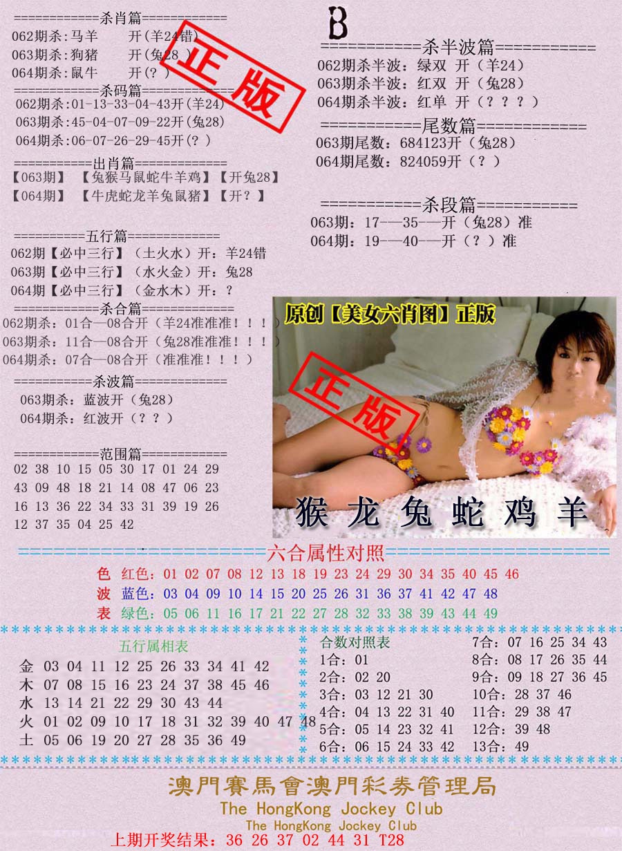 064期通缉令-2[图]