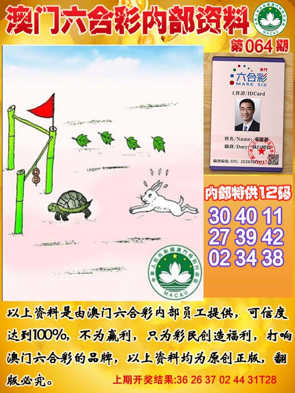 064期六合内部资料[图]