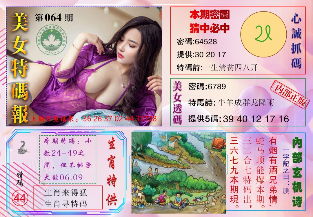 064期美女特码报[图]
