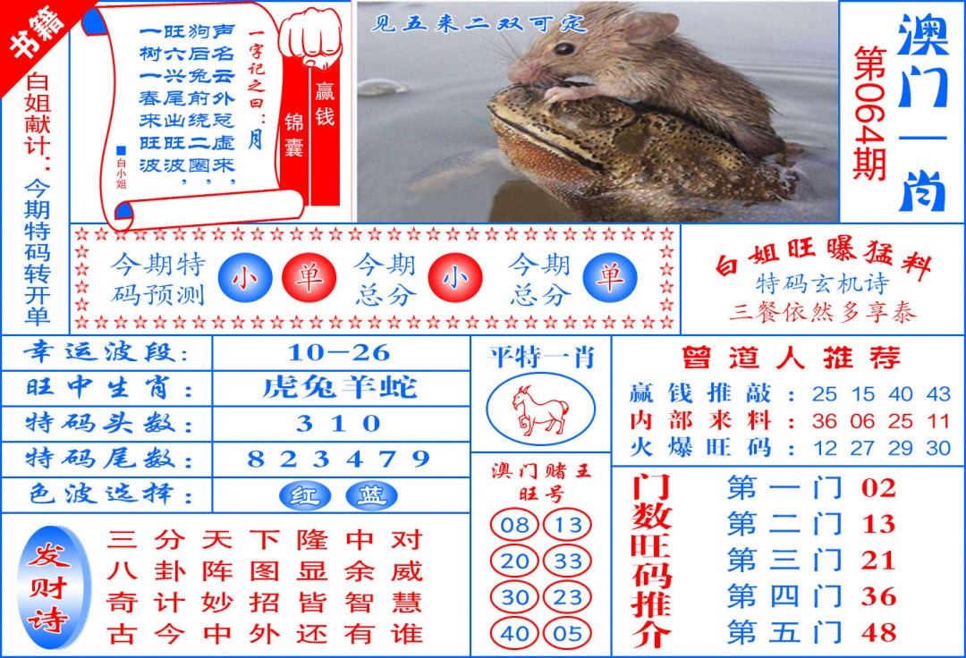 064期澳门东北虎[图]