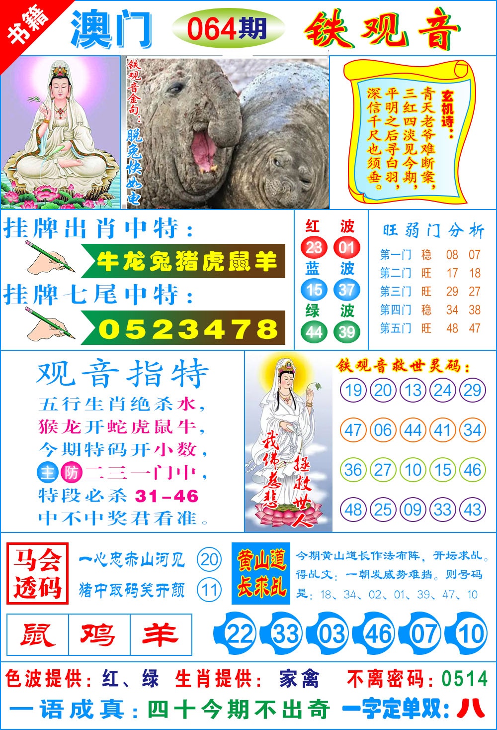 064期澳门铁观音[图]