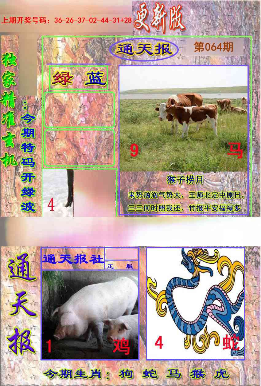064期新通报[图]