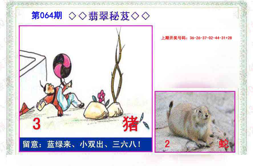 064期翡翠报[图]