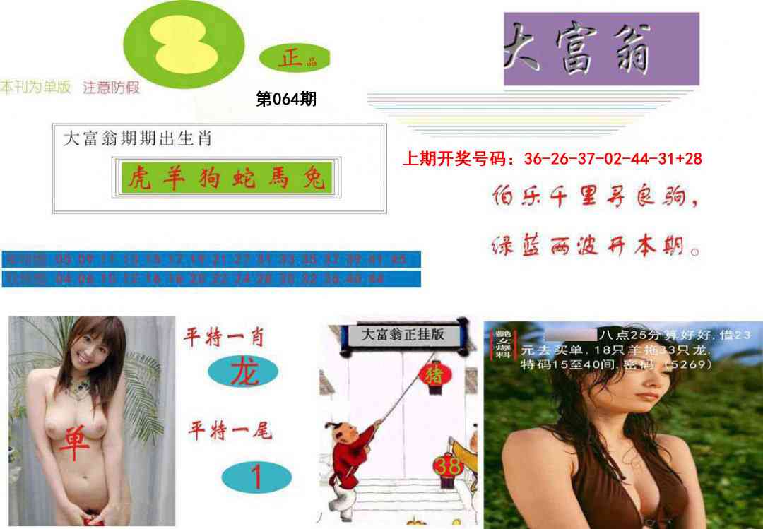 064期大富翁[图]