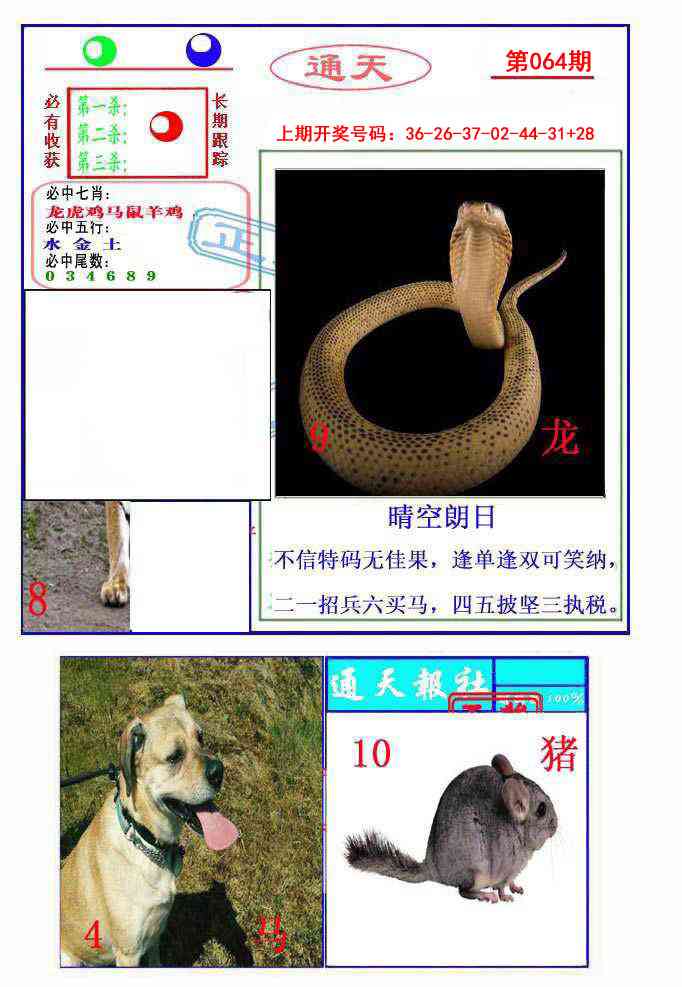 064期通天杀波图2[图]