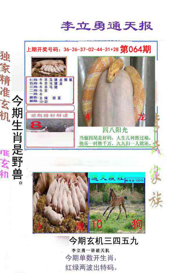 064期李立勇通天报[图]