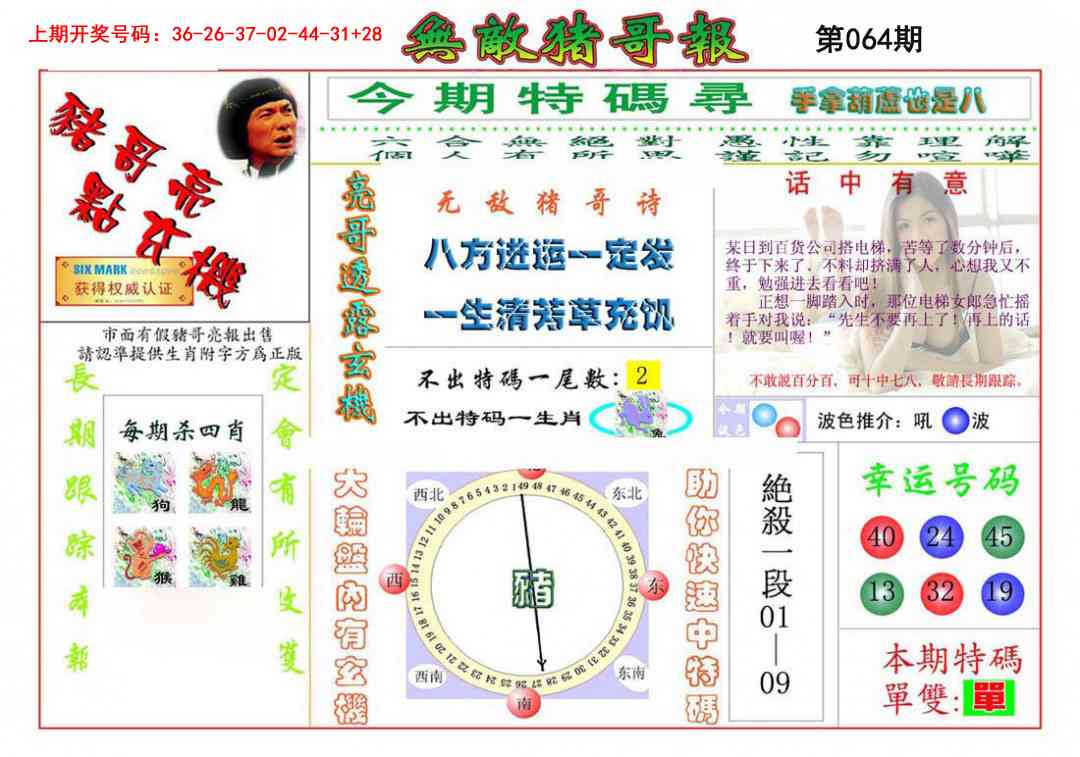 064期无敌猪哥[图]