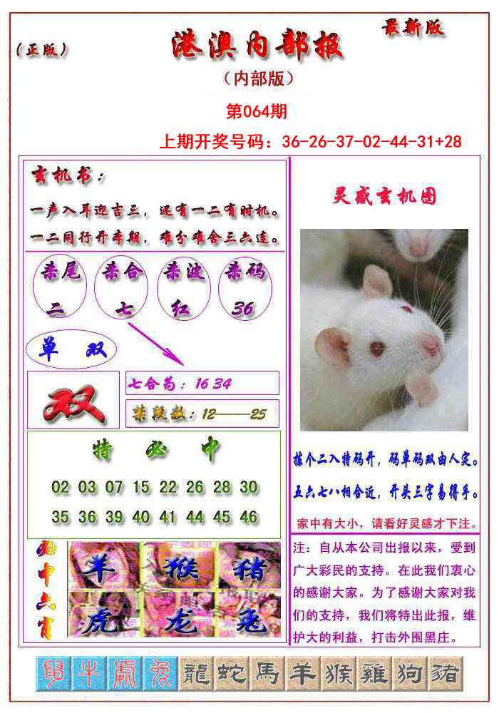 064期港澳报[图]