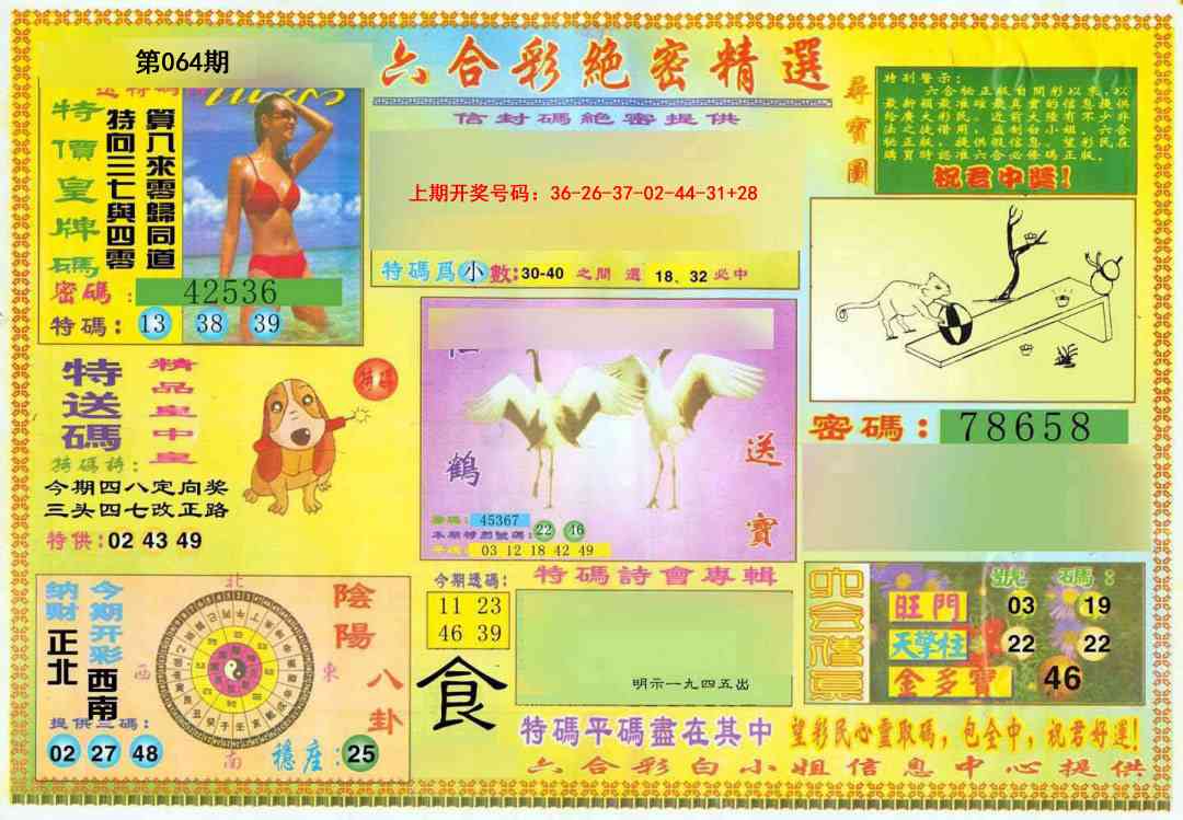 064期绝密精选A[图]