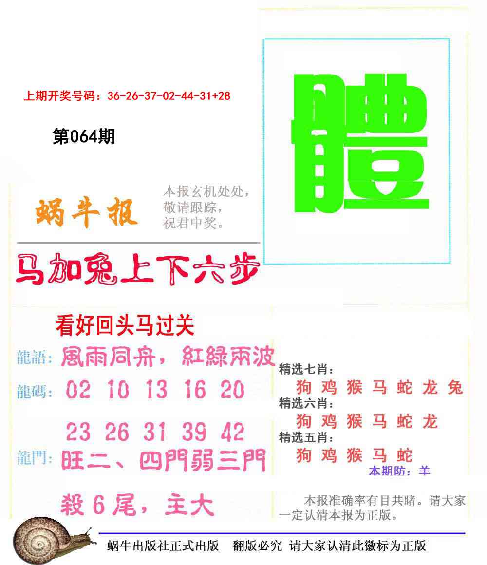 064期蜗牛报[图]