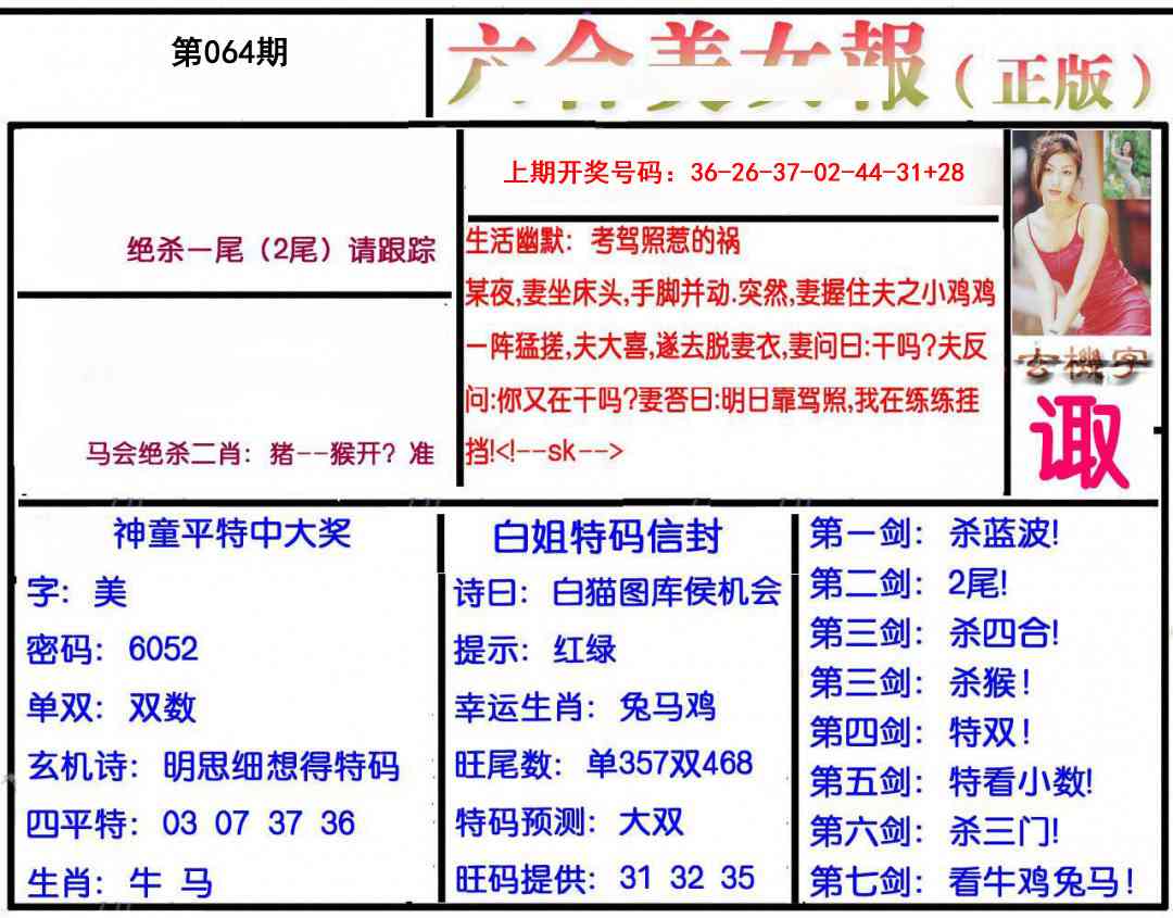 064期美女报[图]