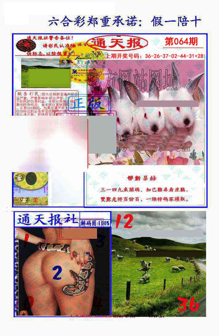 064期假一陪十通天报[图]