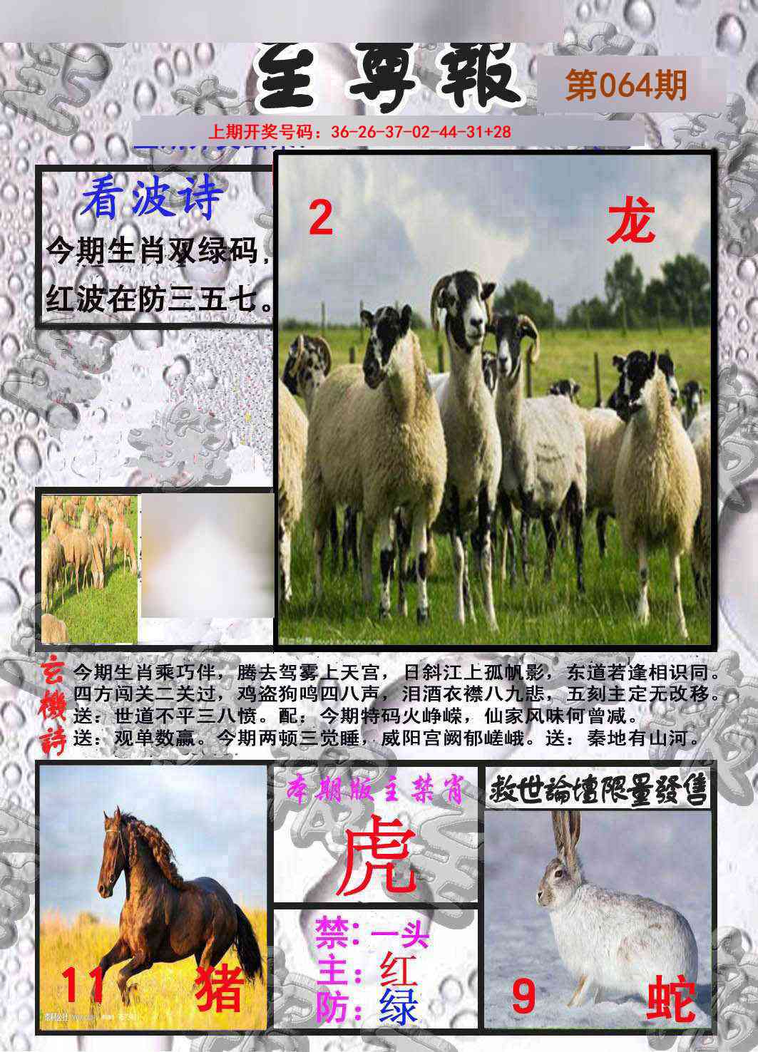 064期至尊报[图]