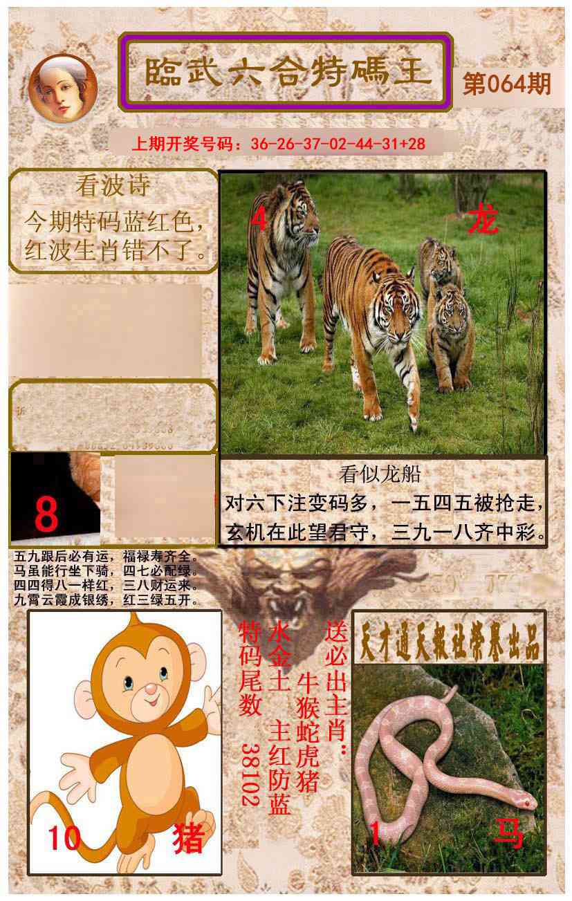 064期临武六合特码王[图]