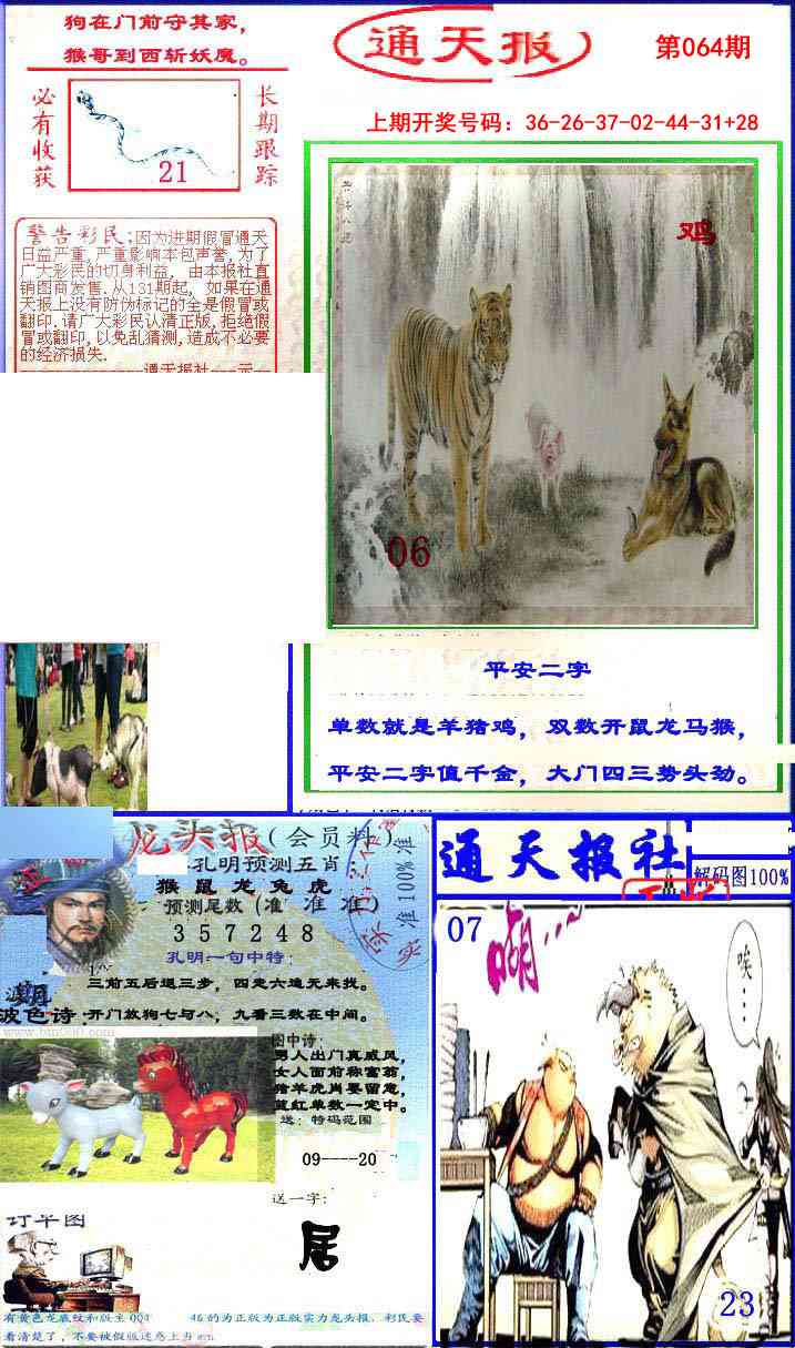 064期实力通天报[图]