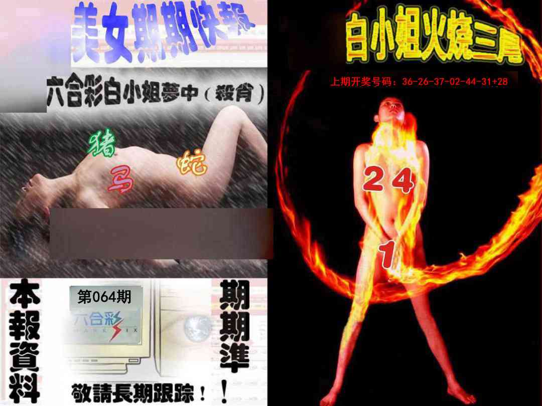 064期环球美女特码报[图]