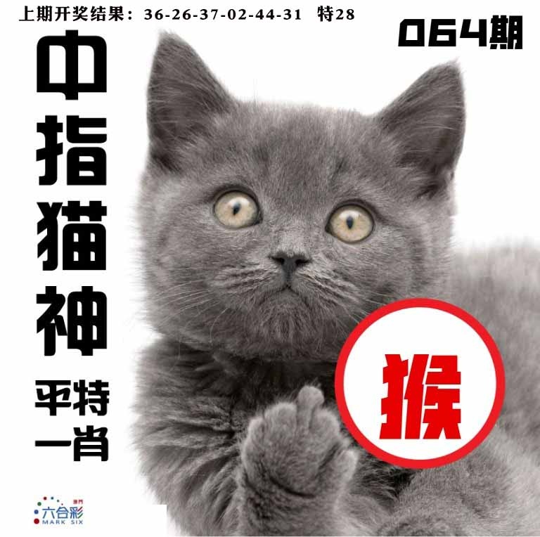 064期中指猫神[图]