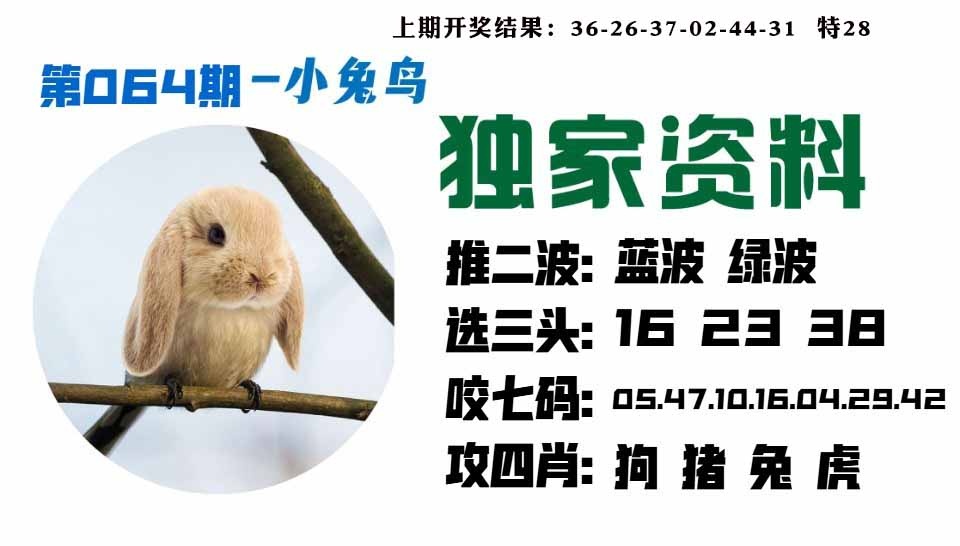 064期小兔鸟[图]