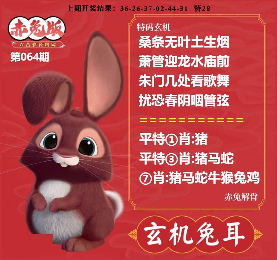 064期玄机兔耳[图]