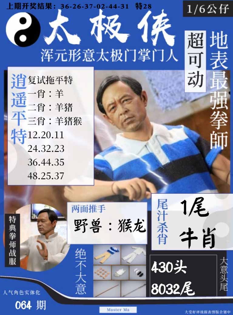 064期太极侠[图]